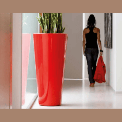 Scarlet Retreat Çiçek saksısı - Görsel 2