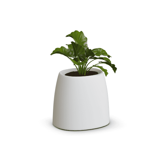 Viridian Nest Çiçek saksısı - Görsel 3