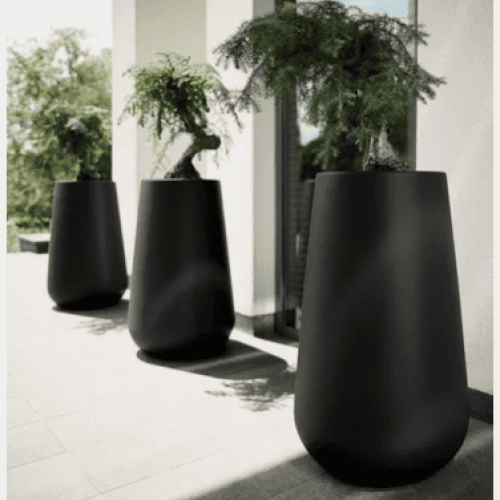 zarif-kaya-doku-saksi-serisi(6)